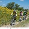 Historic family‑run bike shop Bici‑Burro in San Miguel de Allende offering bicycles, repairs, and eco‑tour adventures.
