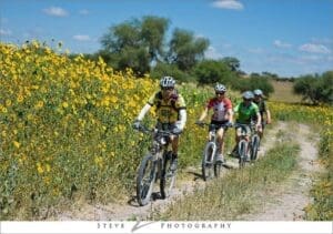 Historic family‑run bike shop Bici‑Burro in San Miguel de Allende offering bicycles, repairs, and eco‑tour adventures.